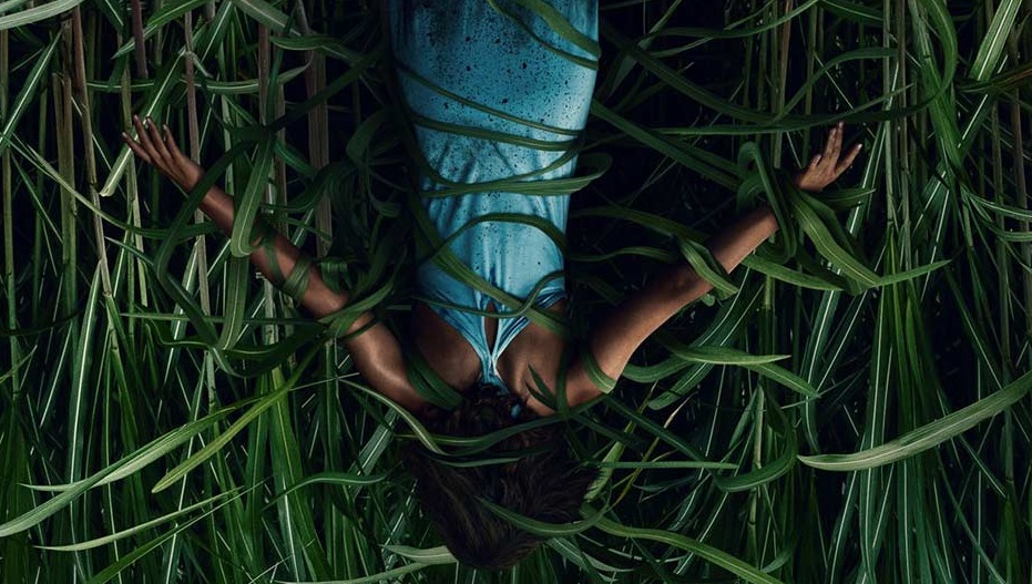     W wysokiej trawie - rusza promocja filmu Netflixa na podstawie powieści Kinga